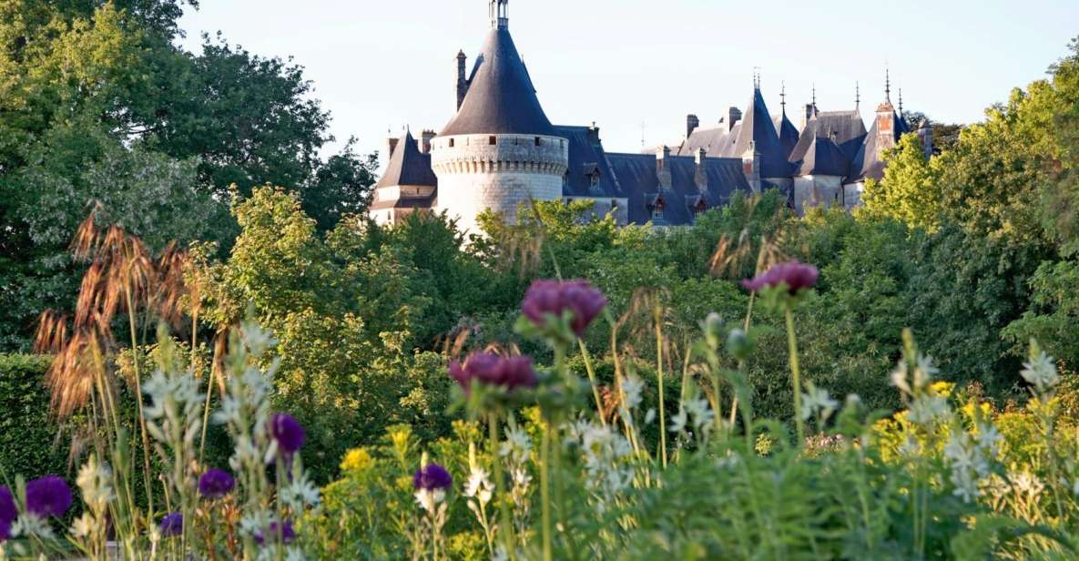 From Blois: Chaumont-sur-Loire, Nature, Wine And History - Key Points