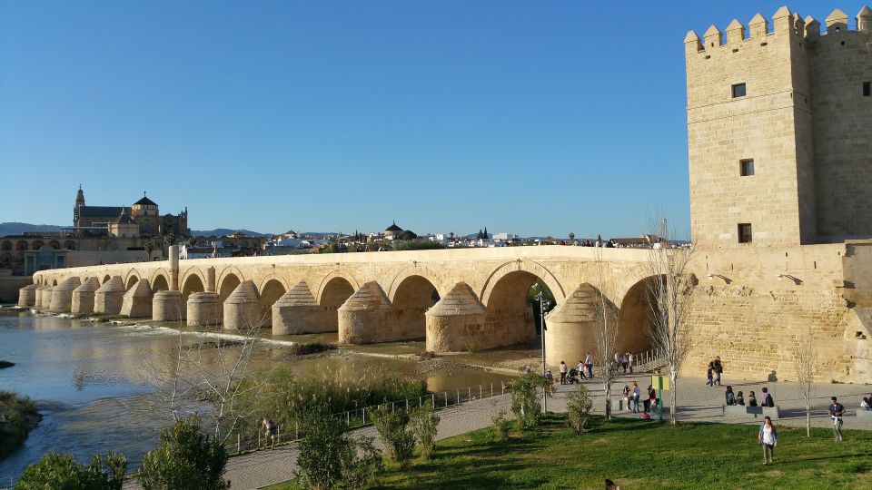 From Malaga: Private Guided Walking Tour of Cordoba - Key Points