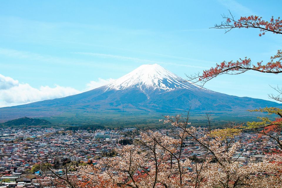 From Tokyo: Mt. Fuji Full-Day Sightseeing Trip - Key Points