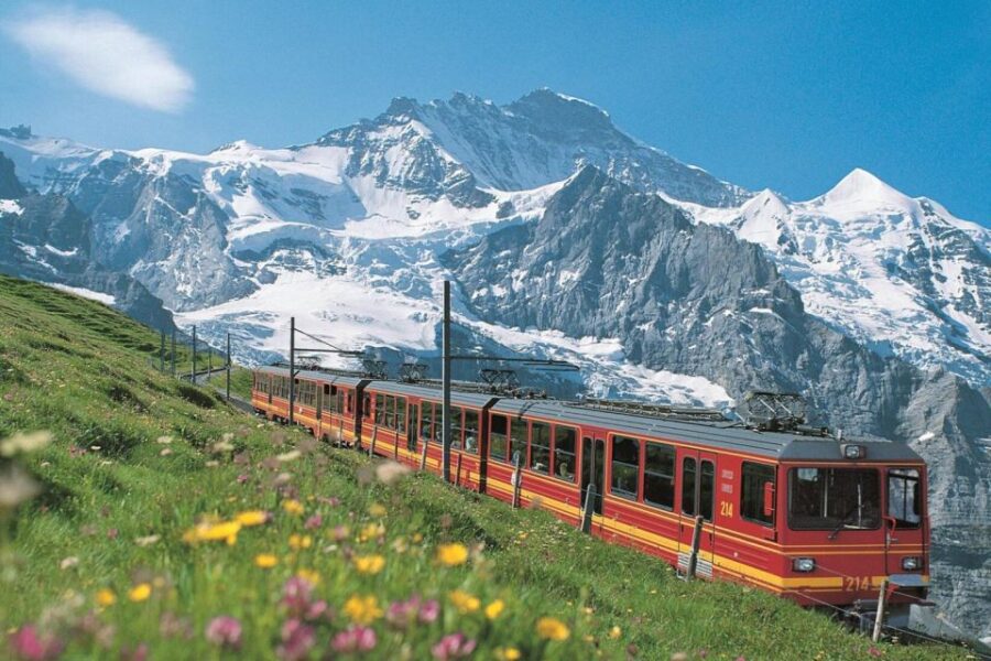 From Zurich: Jungfraujoch Guided Day Tour With Cogway Train - Tour Details