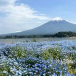 full-day-private-tour-to-mount-fuji-and-hakone-tour-overview