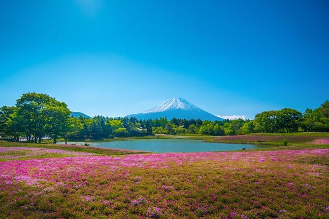 Full Day Tour to Mount Fuji in English - Key Points