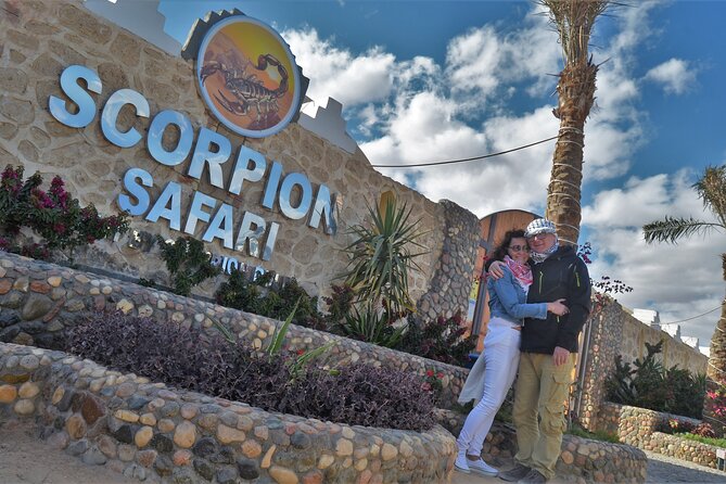 Fun Safari ATV, Buggy Car and Dinner, Show-Hurghada - Whats Included in the Package