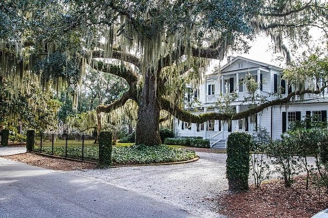 2 Best City Tours In Hilton Head Island