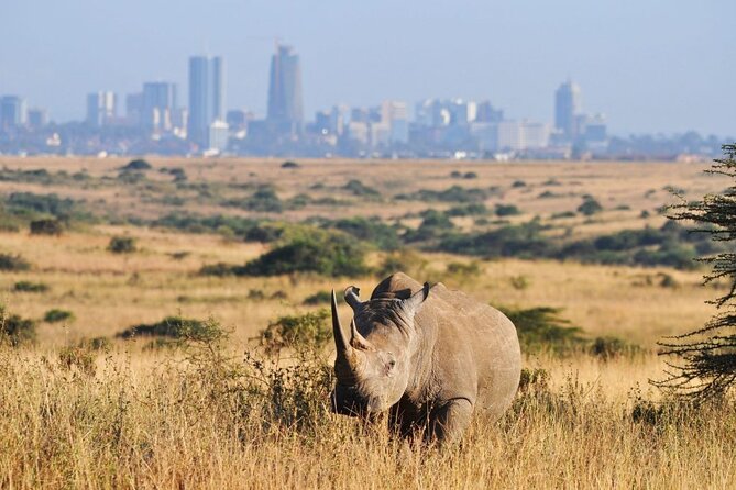Half-Day Nairobi National Park Tour From Nairobi