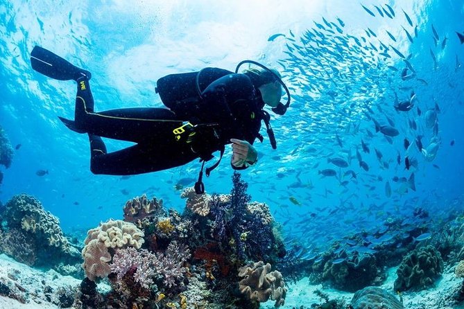 Hurghada: Full-Day Diving Tour With Lunch & Two Dive Sites - Key Points