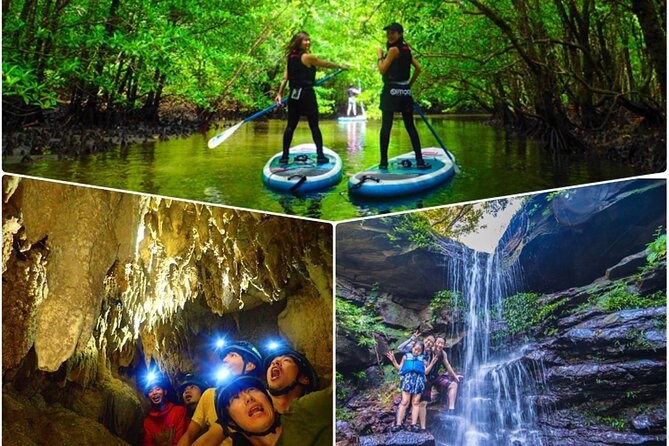 Iriomote Sup/Canoeing in a World Heritage Site & Limestone Cave Exploration - Key Points