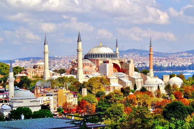 Istanbul Shore Excursion: Istanbul in One Day Sightseeing Tour - Exploring the Blue Mosque