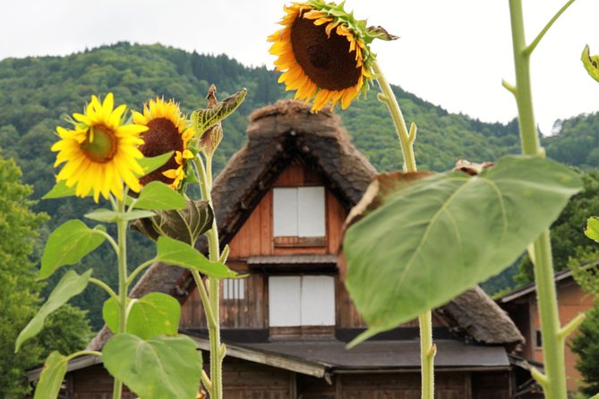 Kanazawa → Takayama (one-way) Including Shirakawago (Private Tour) - Key Points