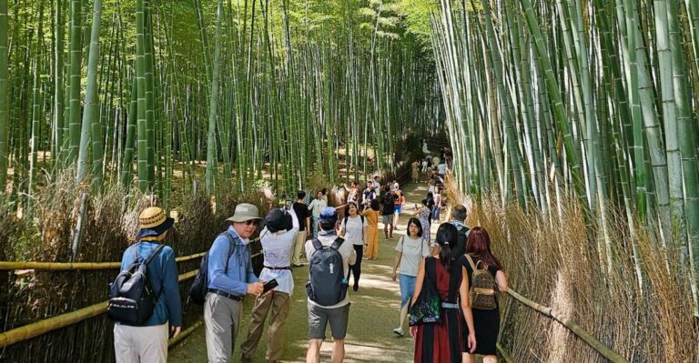 Kyoto: Arashiyama Bamboo Grove 3-Hour Guided Tour