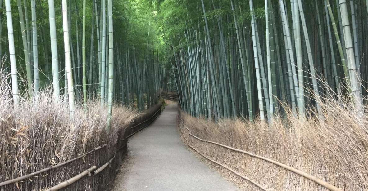 Kyoto, Arashiyama: Bamboo Grove Half-Day Private Guided Tour - Key Points