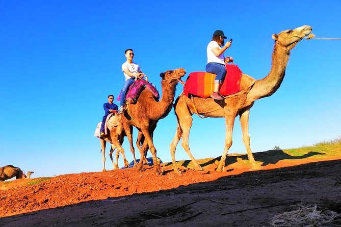 Marrakech Atlas Mountains, Waterfall Berber Villages & Camel Ride - Key Points