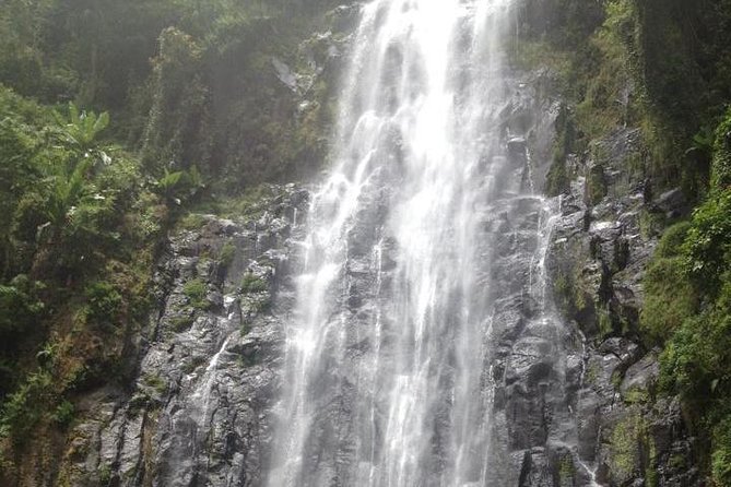Materuni Waterfalls & Coffee Tour From Moshi - Key Points