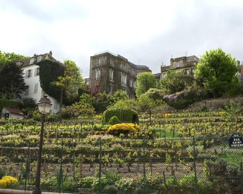 Montmartre: The Winemakers' Rally - Key Points