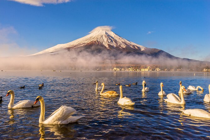 Mount Fuji Private Trip From Tokyo by Car/Van - in English - Key Points