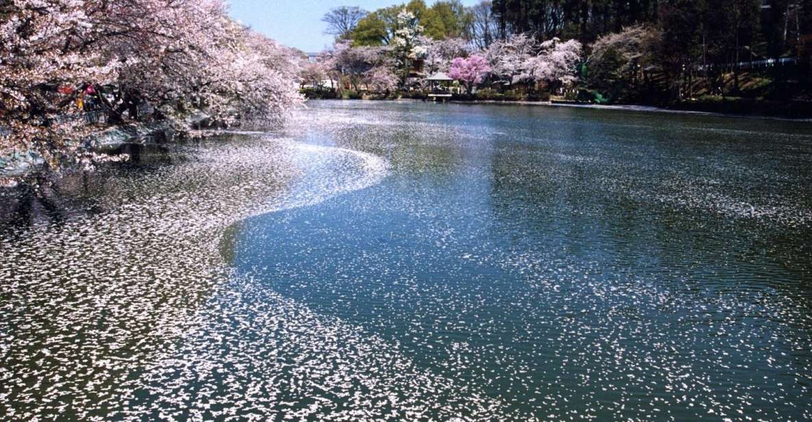 Nagano: 1-Day Snow Monkey & Cherry Blossom Tour in Spring - Key Points
