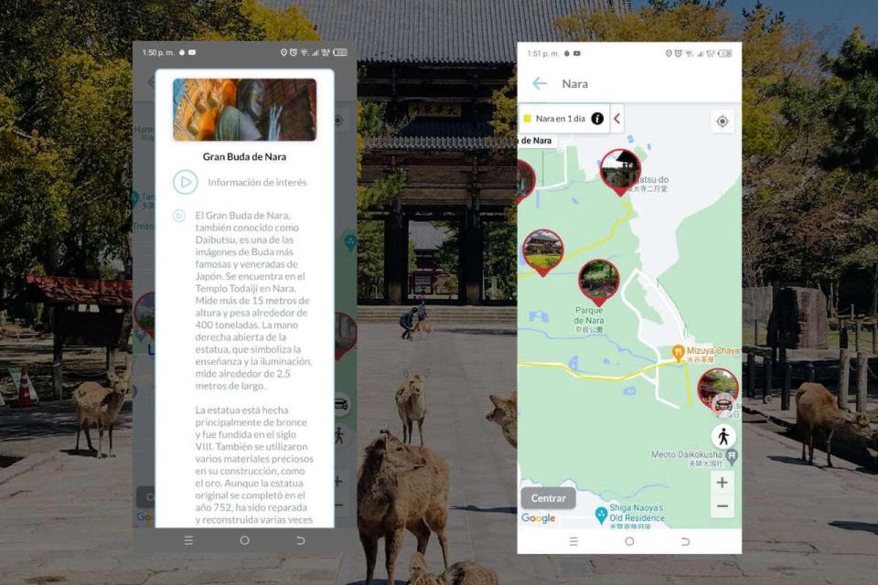 Nara Self-Guided App With Multi-Language Audio Guide - Key Points