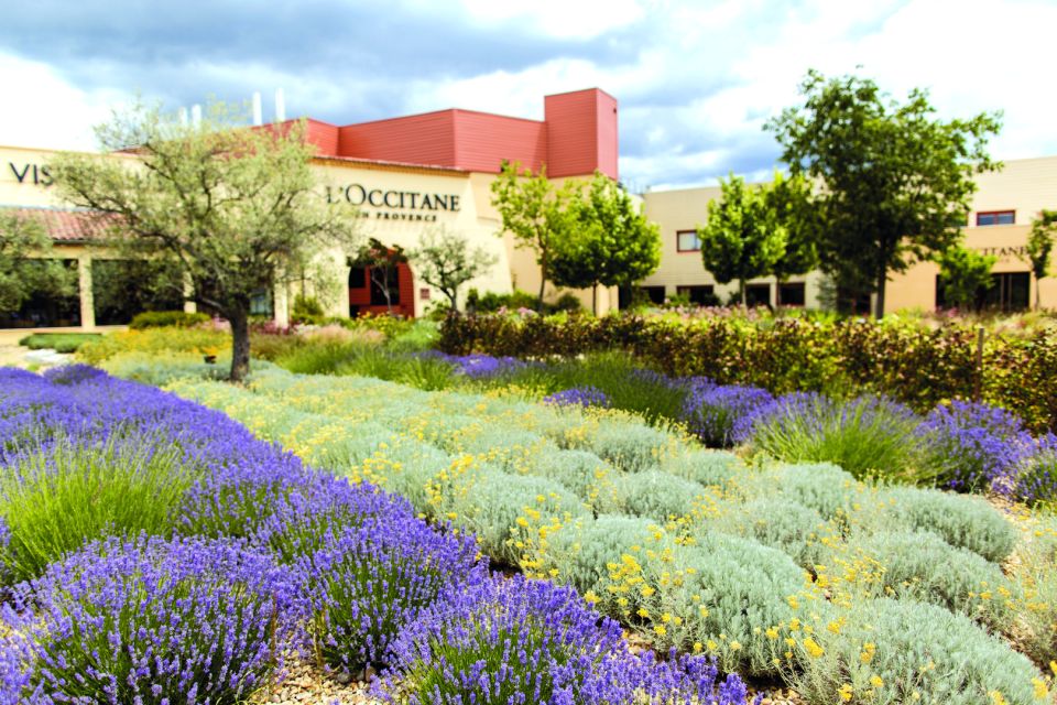 Ocean of Lavender in Valensole - Key Points
