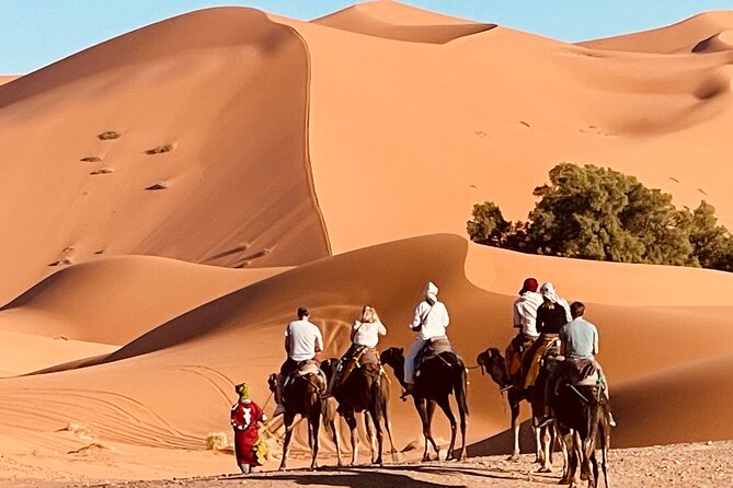 Overnight Stay in Desert Camp & Camel Trekking in the Sahara - Key Points