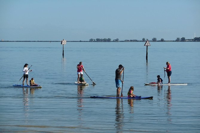 Paddle Board Rental Around Harbour Island - Key Points