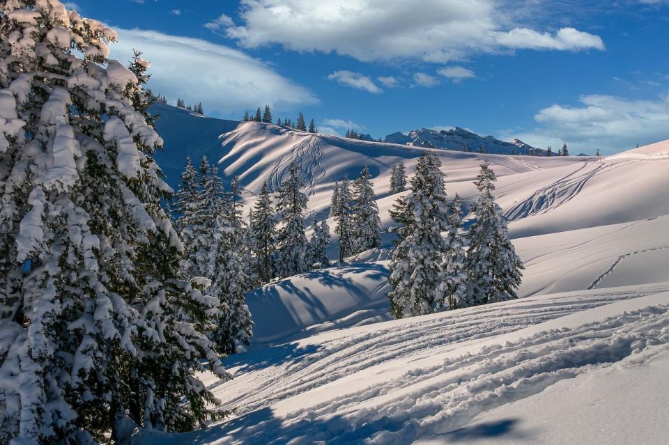 Private Transfer From Barcelona to Andorra - Key Points