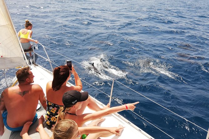 Sailing Yacht Half Day- With Cape Verde Sailing - Overview of the Tour