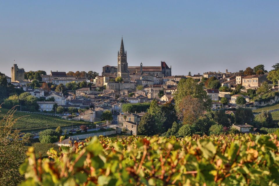 Saint-Emilion: Full-Day Tour With Tasting & Buffet Lunch - Key Points