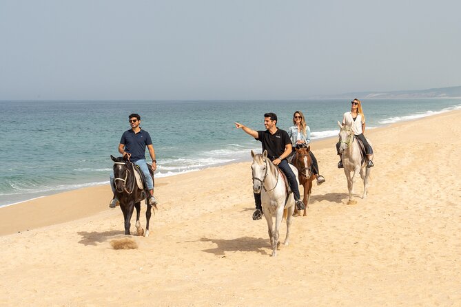 Setubal & Comporta Trip With Horseback Riding From Lisbon - Tour Overview