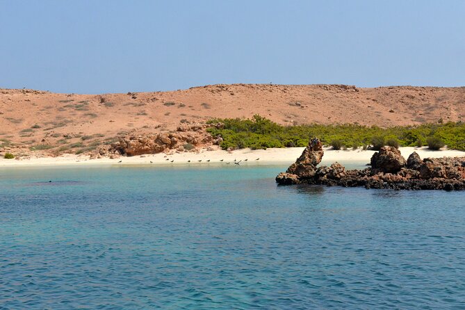 Snorkeling Trips to Daymaniat Islands Sharing Trip - Key Points