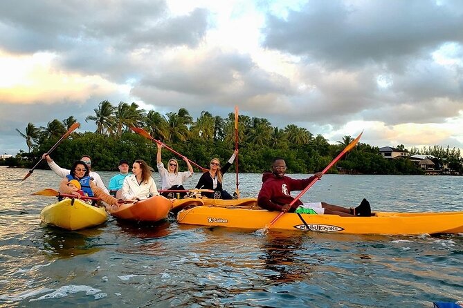 Sunset Kayak Tour of Manatee Bay