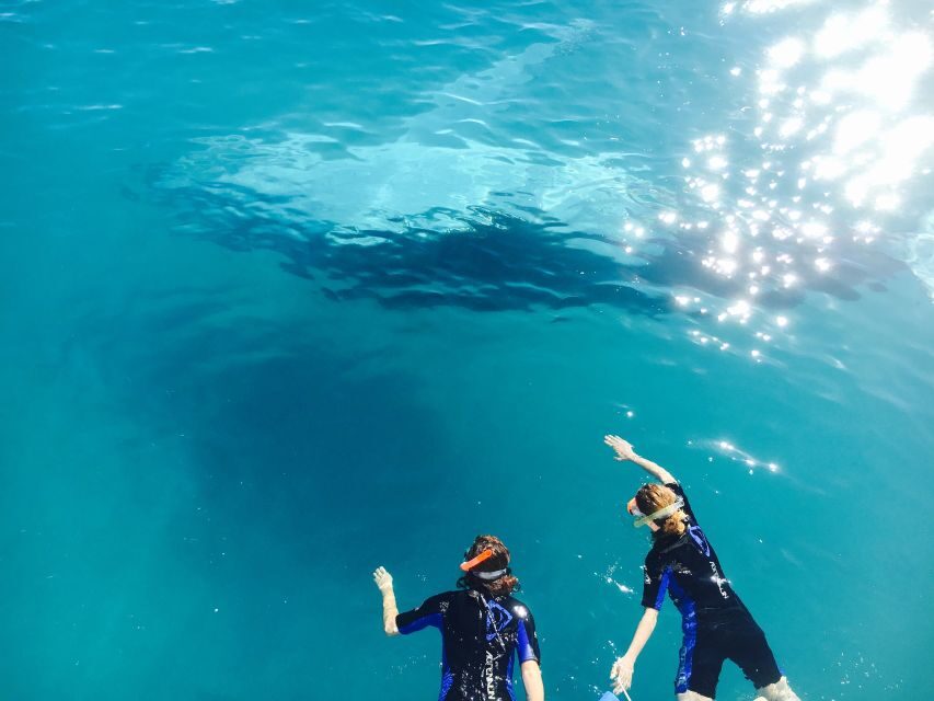 Fraser Island (Kgari): Remote Island and Whale Experience