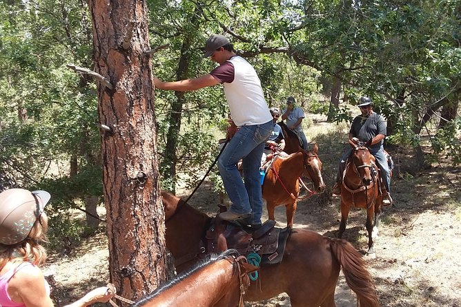 1.5 Hour Horseback Ride