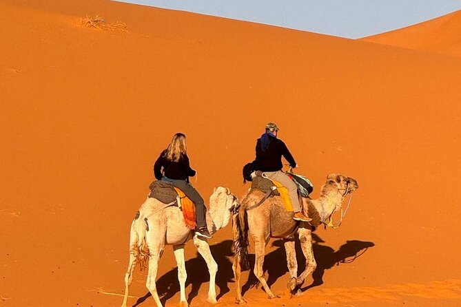 1 Night in Desert Camp Merzouga & Camel Ride & Back by Jeep (4x4) - Key Points