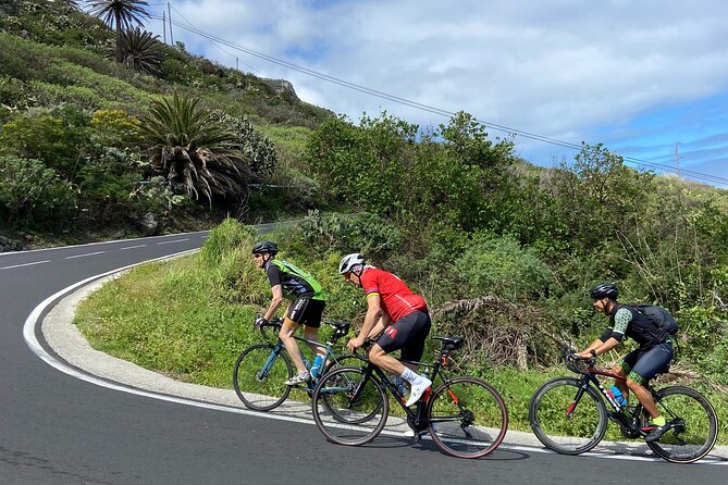 1/2 Day Guided Roadbike Tour