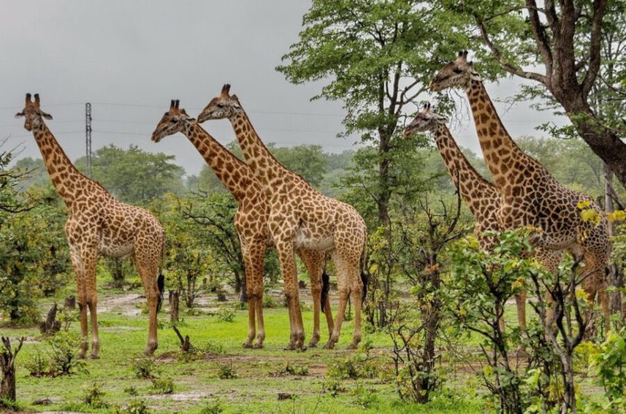 25 Best Tours In Durban