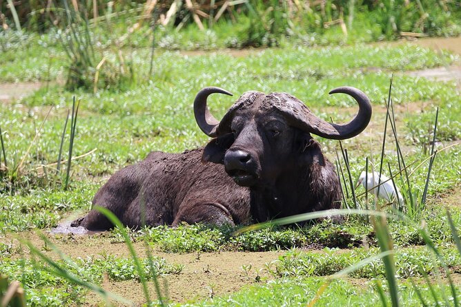 1 Day: Arusha National Park