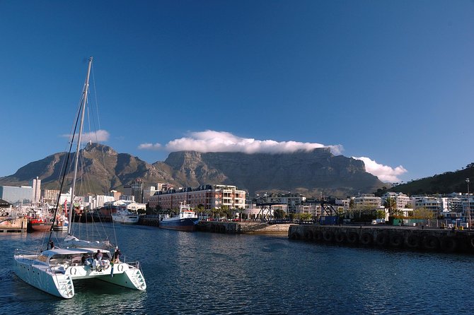 1 Day Explore Cape Town Like a Local With Private Guided Transfer