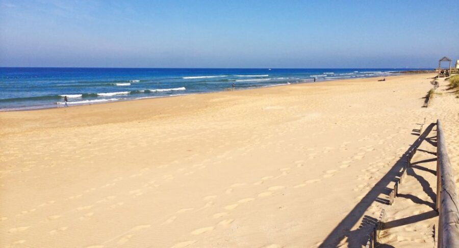 1 Day for Vejer and the South Beaches of Cádiz in SUV (4×4)