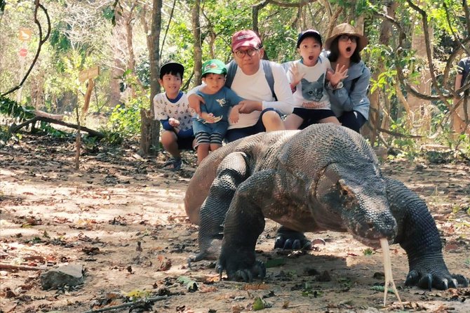 1 Day Komodo Trip By Shared Luxury Fast Boat - Tour Overview and Activities
