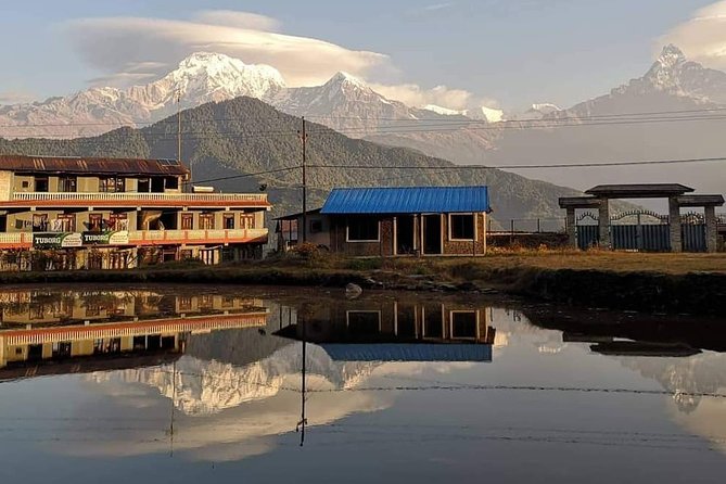 1-Day Private Dhampus Trekking Tour - Tour Overview