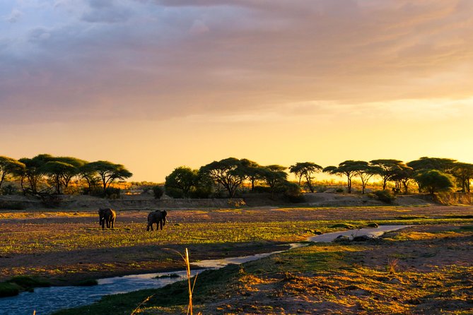 1-Day Ruaha National Park