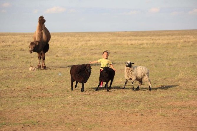 4 Best Lunch Experiences In Ulaanbaatar