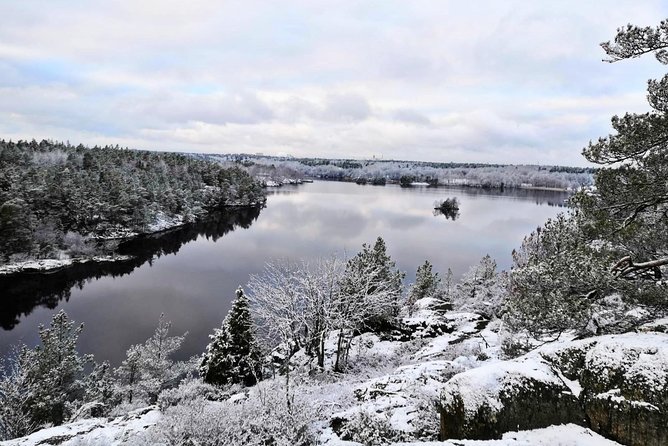 1-Day Small-Group Stockholm Nature Winter Hiking - Explore Nackareservatet National Park
