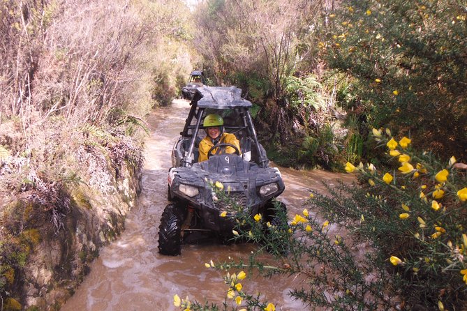 2 Best 1 Hour Tours and Experiences in Greymouth