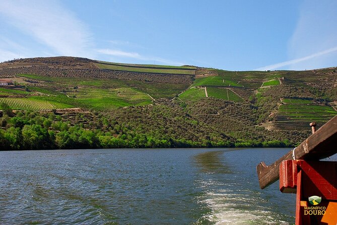 1-Hour Rabelo Boat Trip in Pinhão