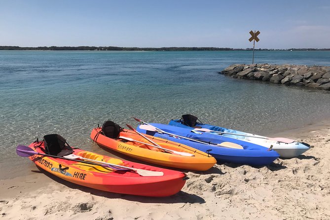 7 Best 1 Hour Tours and Experiences in Noosa and Sunshine Coast