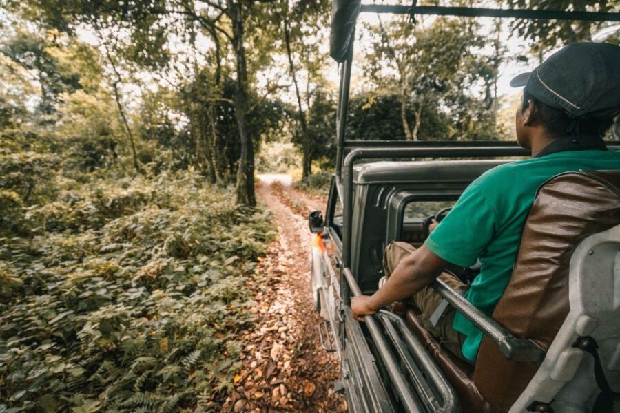 1 Night 2 Day Chitwan Jungle Safari Tour