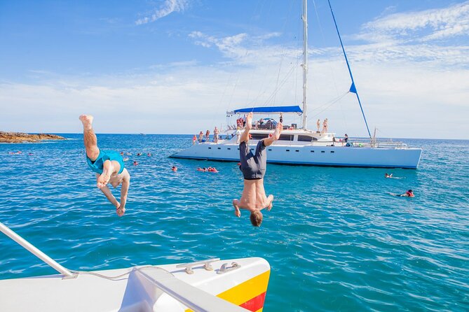 1 Snorkeling Tour in Catamaran. Open Bar & Snacks Included