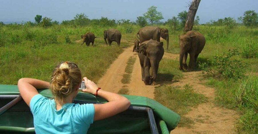 10-Days Discover Sri Lankas Natural Beauty and Wildlife