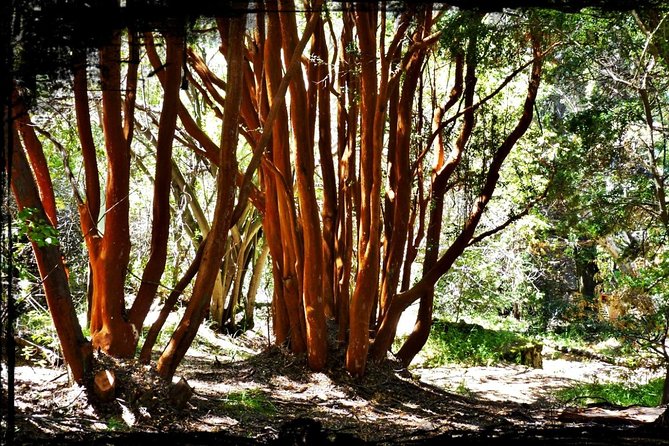 10 Secrets of Bariloche, Nahuel Huapi, and Patagonia - Stunning Vistas of Nahuel Huapi Lake